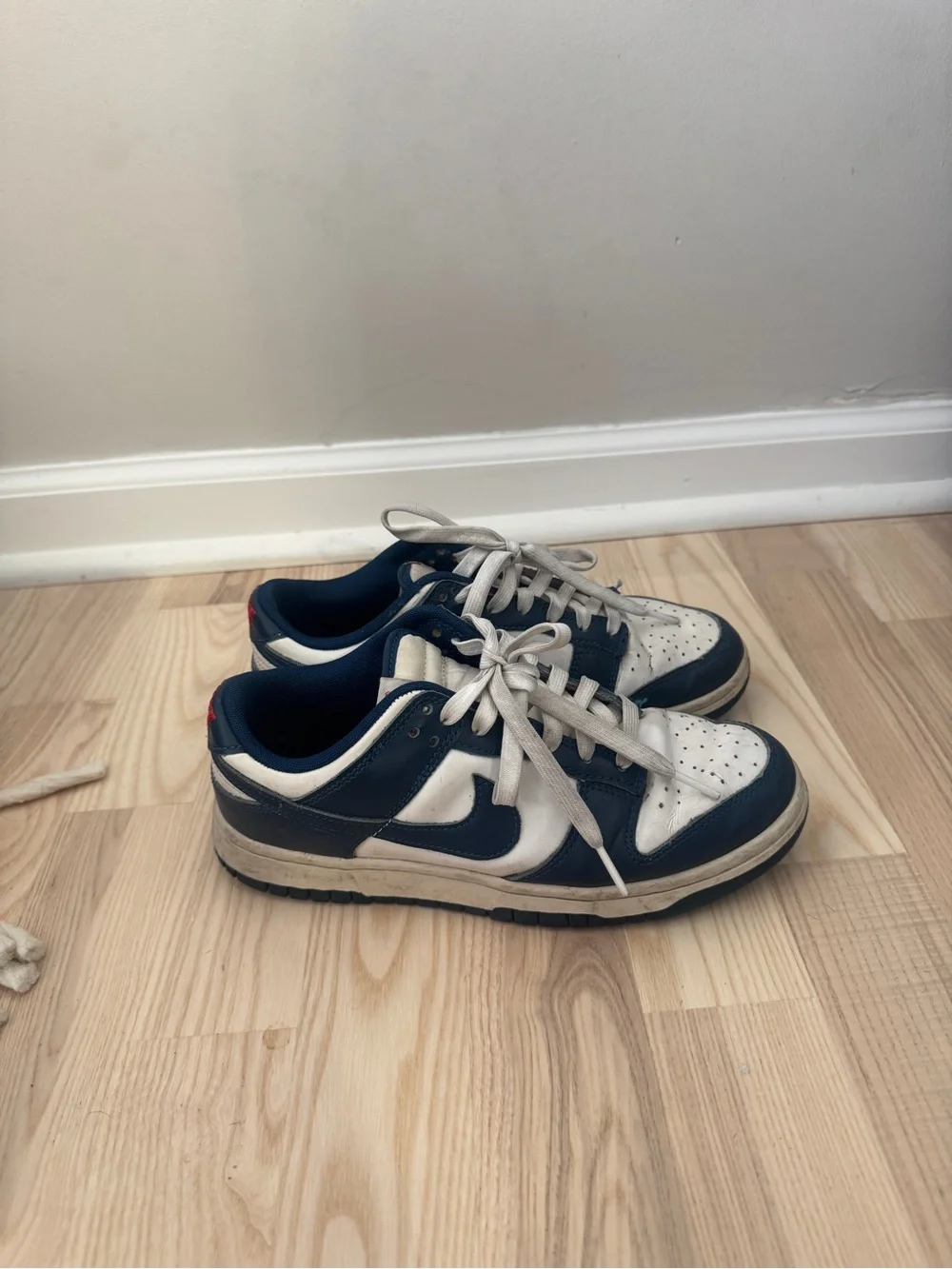 Nike dunks (men’s 7 womens 8.5)